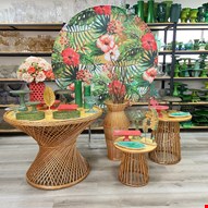 Pacote Kit Adulto- Tropical XXI