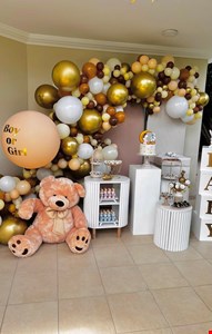 Decoração - Chá Revelação III