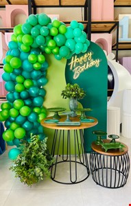 Decoração Adulto- Verde Com Madeira I