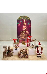 Decoração Adulto- Natal VIII