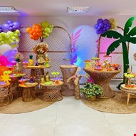 Pacote Adulto-Tropical  Laranja, Verde e Lilás  XXXII DCK