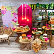 Pacote Adulto - Tropical XXXVI