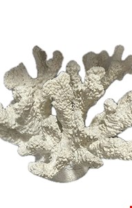 Temático Alga Branca 9cmA