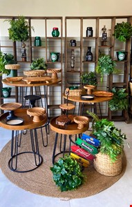 Decoração Adulto- Boteco IV