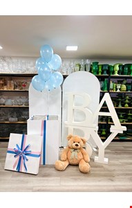 Kit Infantil Básico - Backdrop Chá Revelação VI