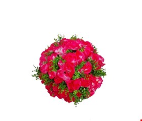 Arranjo Permanente Cravo Rosa Pink Neon e Galhos Verdes G 