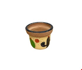 Vaso Barro Amarelo Com Cacto  16cmD 13cmA
