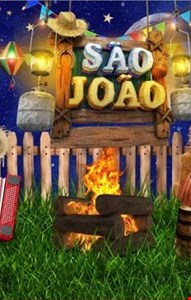 Painel tecido sublimado Retangular Noite de São João Com Cacto - 3mL x 2,60mA