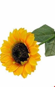 Flor de Girassol Amarelo Unitário Artificial G