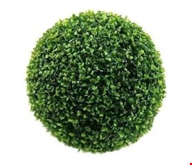 Bucho Verde 20cmD 