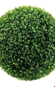 Bucho Verde 20cmD 