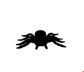 Temático Halloween - Aranha em Veludo Preta 10cmC 15cmL 