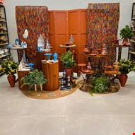 Decoração Adulto - Salvador XIV DCK