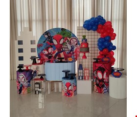 Kit Infantil Luxo - Homem Aranha e Seus Amigos XVIII