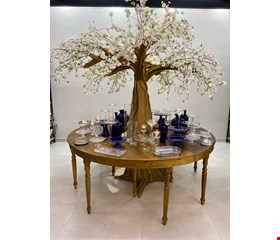 Decoração Adulto- Formatura Azul & Prata 