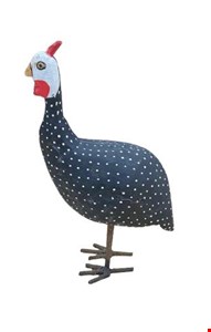 Galinha da Angola M