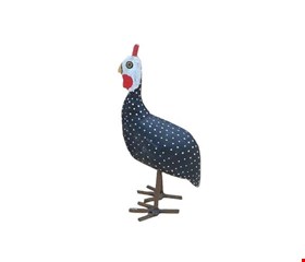 Galinha da Angola P