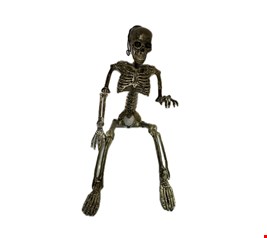 Temático Halloween - Esqueleto Humano Branco Mesclado P 