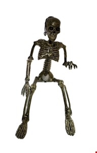 Temático Halloween - Esqueleto Humano Branco Mesclado P 