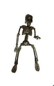 Temático Halloween - Esqueleto Humano Branco Mesclado P 
