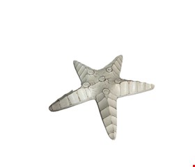 Temático Fundo do Mar - Estrela do Mar Branca Patina 26cmC Temático Fundo do Mar - Estrela do Mar Branca Patina 26cmC