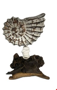 Temático Fundo do Mar- Concha Caracol Galho 17cmA  Temático Fundo do Mar- Concha Caracol Galho 17cmA