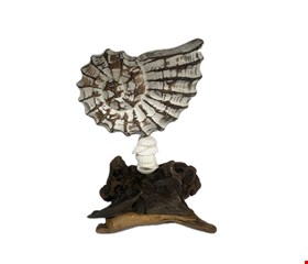 Temático Fundo do Mar- Concha Caracol Galho 17cmA  Temático Fundo do Mar- Concha Caracol Galho 17cmA