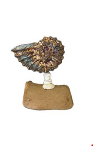 Temático Fundo do Mar - Concha Caracol Galho Colorido 17cmA  Temático Fundo do Mar - Concha Caracol Galho Colorido 17cmA