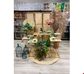 Kit Adulto Luxo - Tropical XXXIII Kit Adulto Luxo - Tropical XXXIII