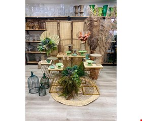 Kit Adulto Luxo - Tropical XXXIII Kit Adulto Luxo - Tropical XXXIII