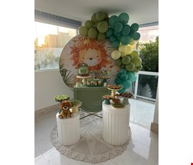 Decoração Infantil - Leão, Safari VIII