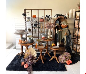 Decoração Adulto - Halloween XXVI Decoração Adulto - Halloween XXVI