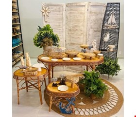 Decoração Adulto - Fundo do Mar XIV