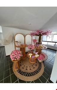 Decoração Infantil - Jardim das Borboletas XXII