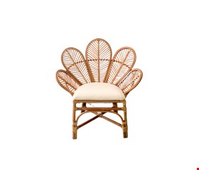 Cadeira Flor Vime com assento adulto NOVA