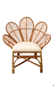 Cadeira Flor Vime com assento adulto NOVA