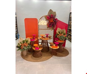 Decoração Adulto - Tropical Pink, Laranja & Vime XI DCK 