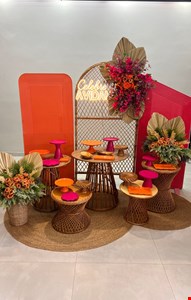 Decoração Adulto - Tropical Pink, Laranja & Vime XI DCK 