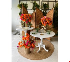 Decoração Adulto - Tropical Vime XII 