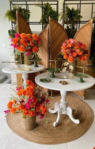 Decoração Adulto - Tropical Vime XII 