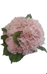 Arranjo Flor Rosa bebê e folhas Arranjo Flor Rosa bebê e folhas