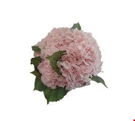 Arranjo Flor Rosa bebê e folhas Arranjo Flor Rosa bebê e folhas