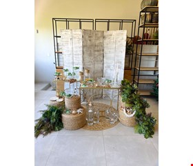 Decoração Adulto - Fundo do Mar XV