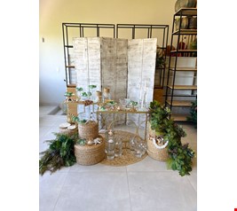 Decoração Adulto - Fundo do Mar XV Decoração Adulto - Fundo do Mar XV