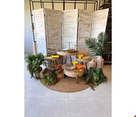 Decoração Adulto - Tropical Laranja & Amarelo XI