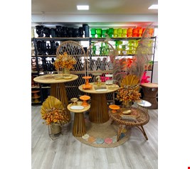 Kit Adulto Luxo - Tropical XXXIV