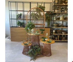 Decoração Adulto - Vime Tropical Verde I