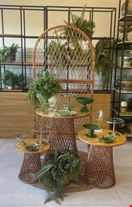 Decoração Adulto - Vime Tropical Verde I