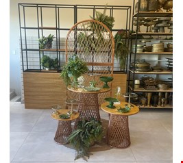 Decoração Adulto - Vime Tropical Verde I Decoração Adulto - Vime Tropical Verde I