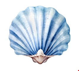 Totem Temático Fundo do Mar - Concha 50cmD